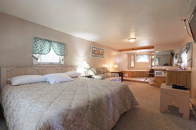 283 Lost Trail Hot Springs Rd, Sula, MT 59871 - view of carpeted bedroom