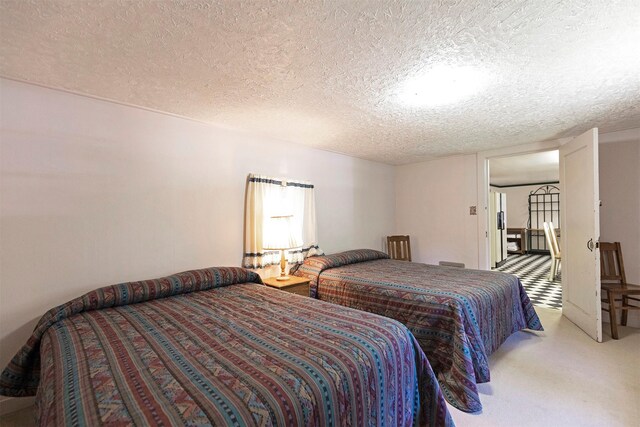 283 Lost Trail Hot Springs Rd, Sula, MT 59871 - bedroom with a textured ceiling and carpet flooring