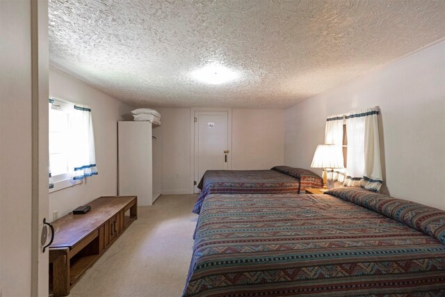283 Lost Trail Hot Springs Rd, Sula, MT 59871 - bedroom with a textured ceiling and carpet flooring
