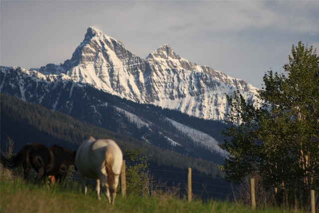 property view of mountains