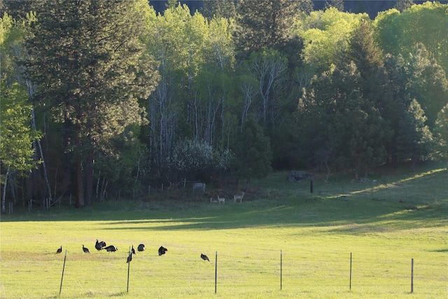 41698 Canal Rd, Polson, MT 59860 - view of yard featuring a wooded view