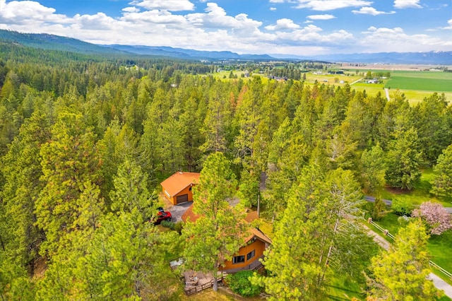 bird's eye view with a mountain view