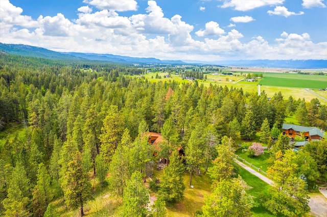 birds eye view of property with a mountain view