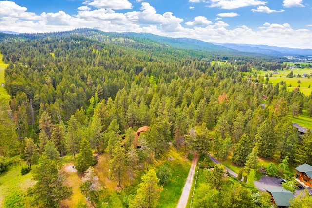 drone / aerial view featuring a mountain view