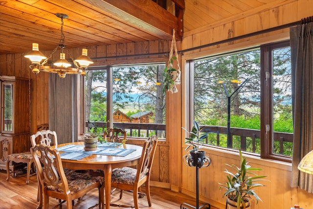 dining room with a wealth of natural light, wood-type flooring, and wood walls