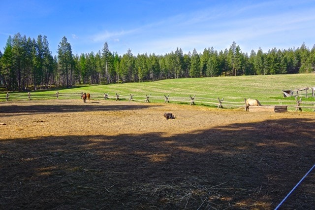 view of community featuring a rural view