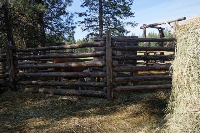 view of gate