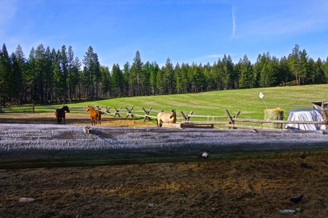 view of property's community with a yard and a rural view