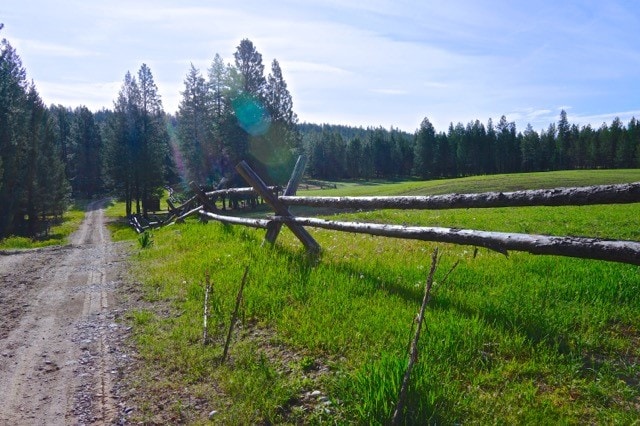 view of road