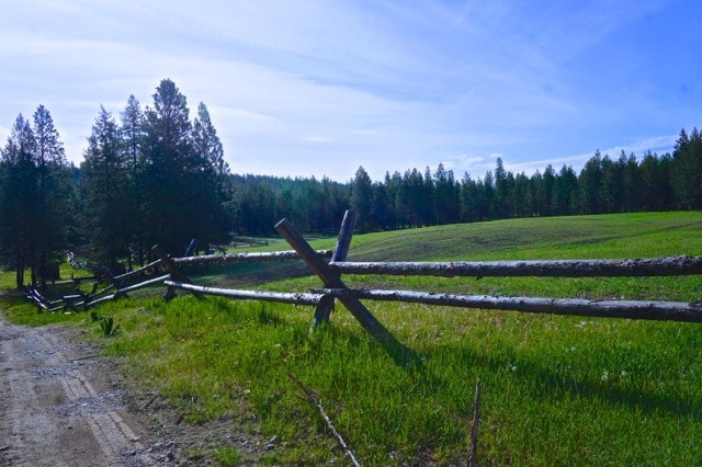 view of yard with a rural view