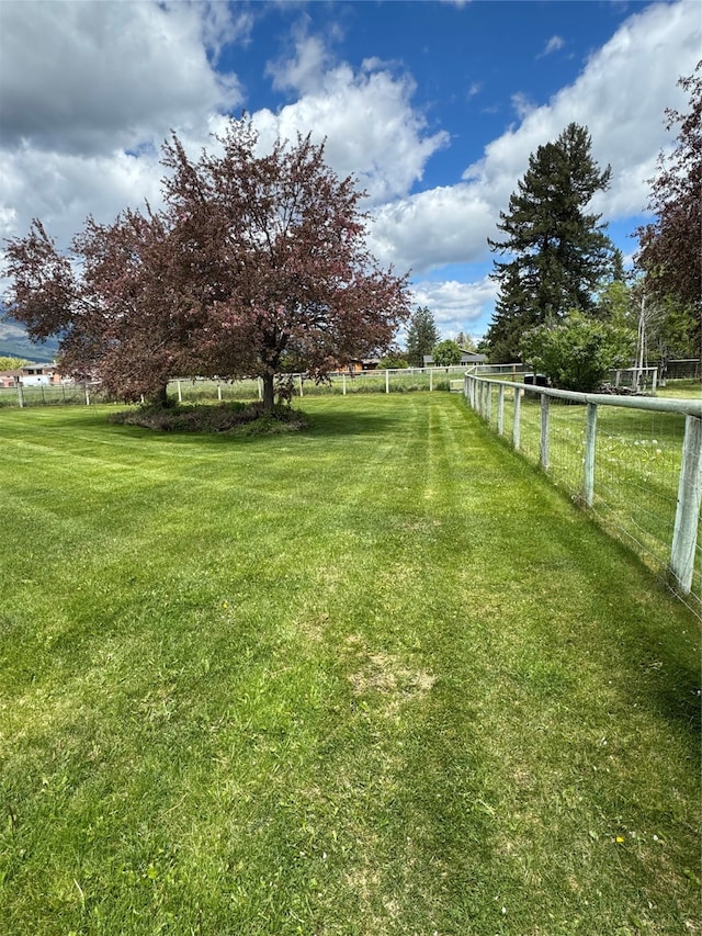 view of yard with a rural view