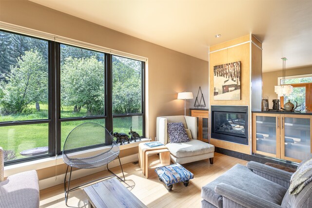 living room with a healthy amount of sunlight and wood-type flooring