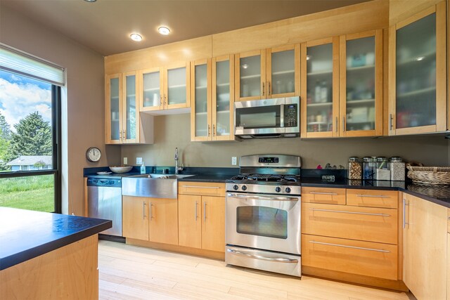 kitchen featuring a healthy amount of sunlight, appliances with stainless steel finishes, sink, and light wood-type flooring