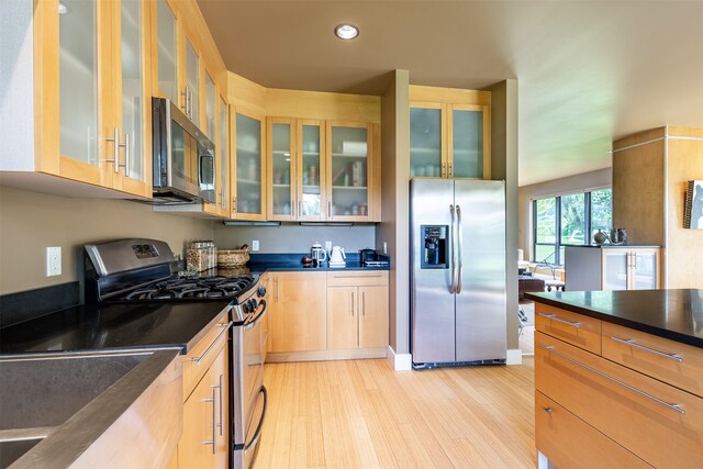 kitchen featuring light wood-type flooring and appliances with stainless steel finishes