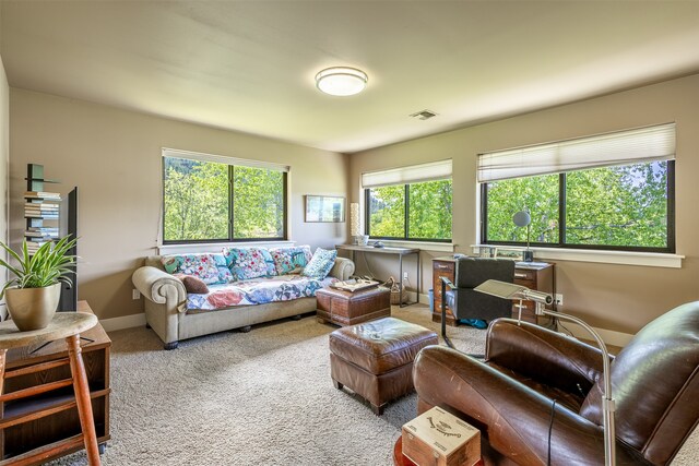 view of carpeted living room