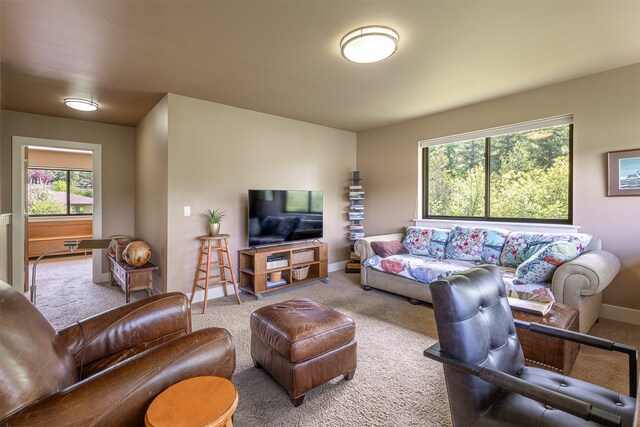 living room with carpet flooring