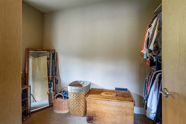 walk in closet with dark carpet