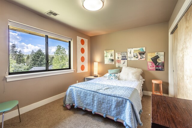 bedroom with carpet flooring and a closet