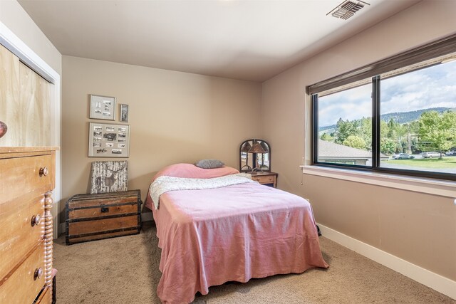 bedroom with carpet flooring