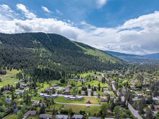 drone / aerial view with a mountain view