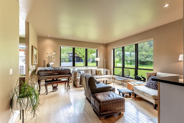 living room featuring light hardwood / wood-style flooring