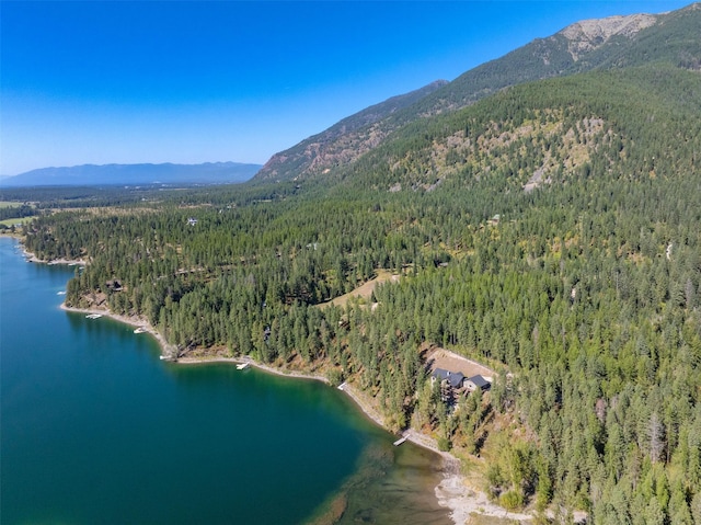 198 Blaine Lakeshore Dr, Kalispell, MT 59901 - birds eye view of property with a forest view and a water and mountain view