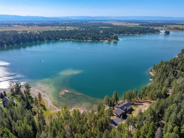198 Blaine Lakeshore Dr, Kalispell, MT 59901 - aerial view featuring a forest view and a water view