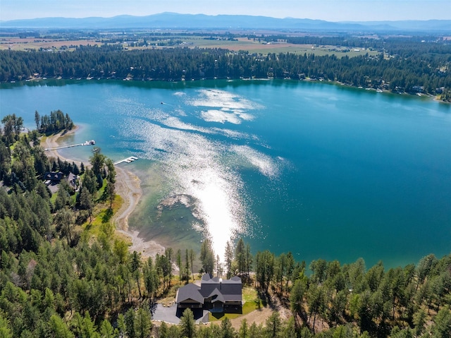 198 Blaine Lakeshore Dr, Kalispell, MT 59901 - bird's eye view with a water and mountain view and a forest view