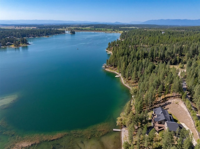 198 Blaine Lakeshore Dr, Kalispell, MT 59901 - bird's eye view featuring a wooded view and a water and mountain view