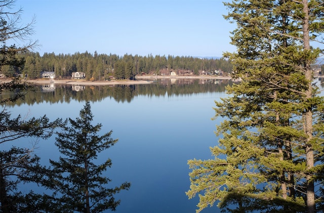 198 Blaine Lakeshore Dr, Kalispell, MT 59901 - property view of water featuring a forest view