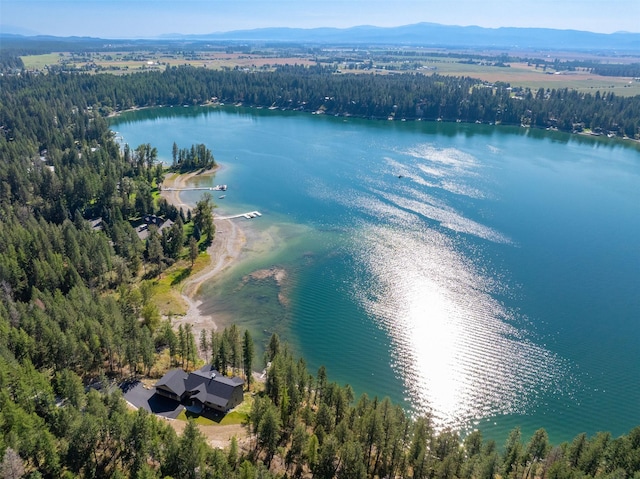 198 Blaine Lakeshore Dr, Kalispell, MT 59901 - aerial view with a water view and a wooded view