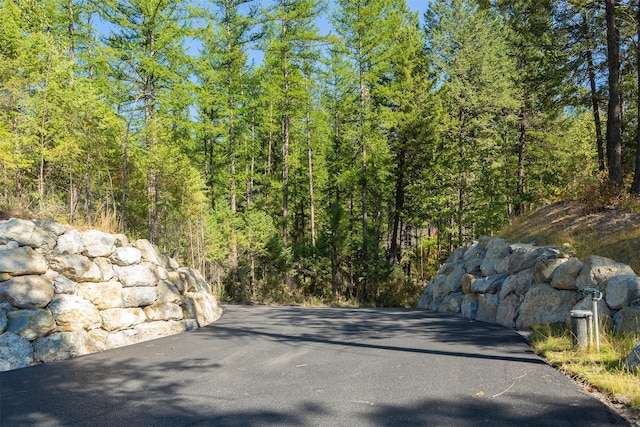 198 Blaine Lakeshore Dr, Kalispell, MT 59901 - view of street with a forest view