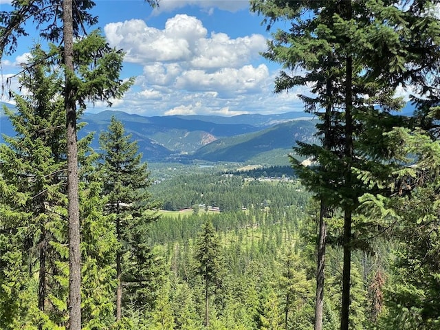 NHN Panoramic View Dr, Libby MT, 59923 land for sale