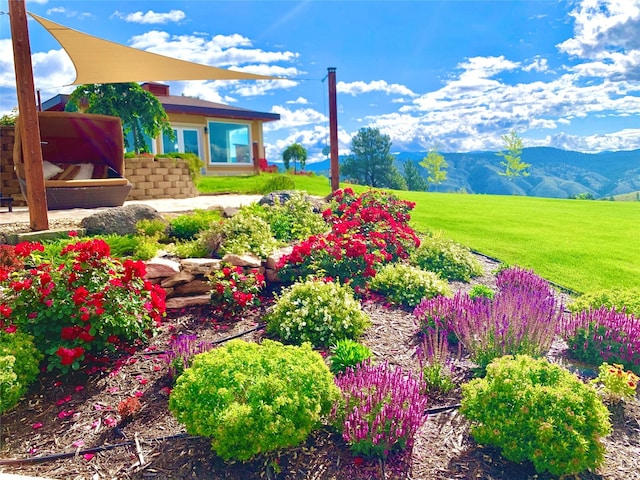 view of yard featuring a mountain view