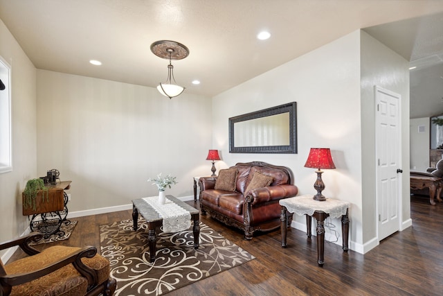 living room featuring dark wood-type flooring