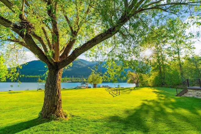 view of yard featuring a water and mountain view