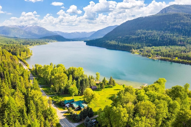 birds eye view of property with a water and mountain view