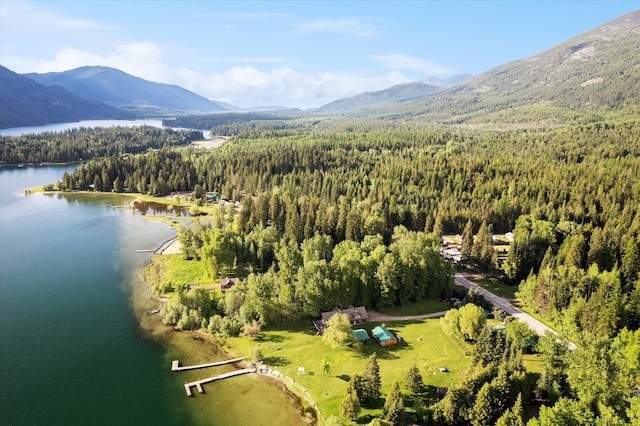 birds eye view of property featuring a water and mountain view