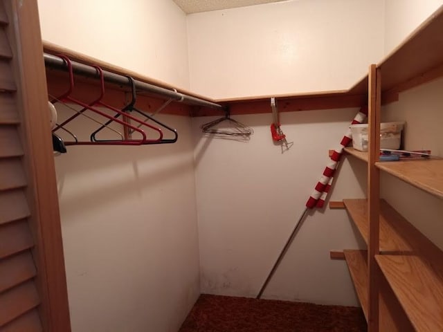 view of walk in closet