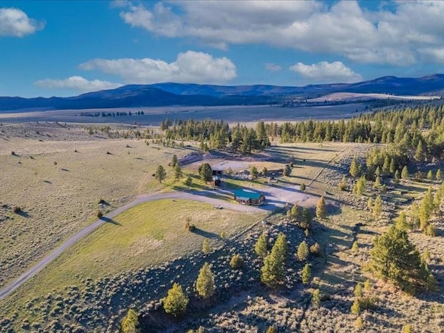 drone / aerial view featuring a water and mountain view