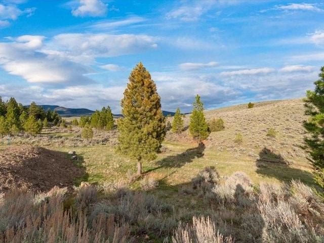 view of landscape featuring a mountain view