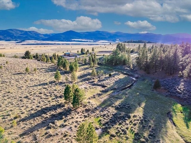 bird's eye view with a mountain view