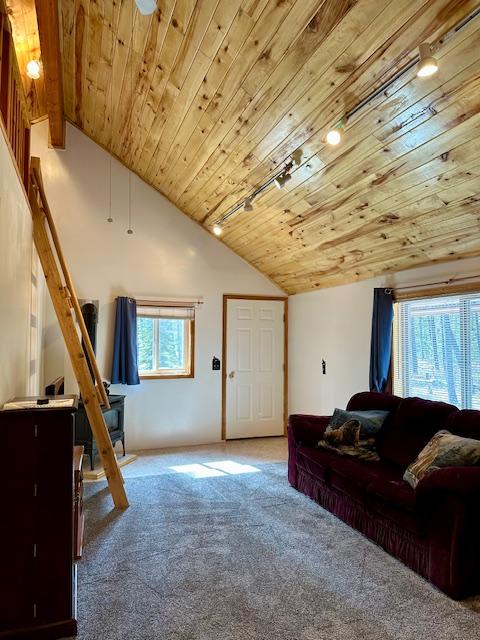 interior space with carpet, wood ceiling, and lofted ceiling