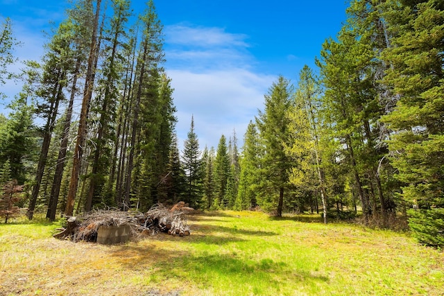 view of local wilderness with a view of trees