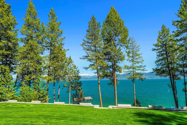 view of water feature with a boat dock