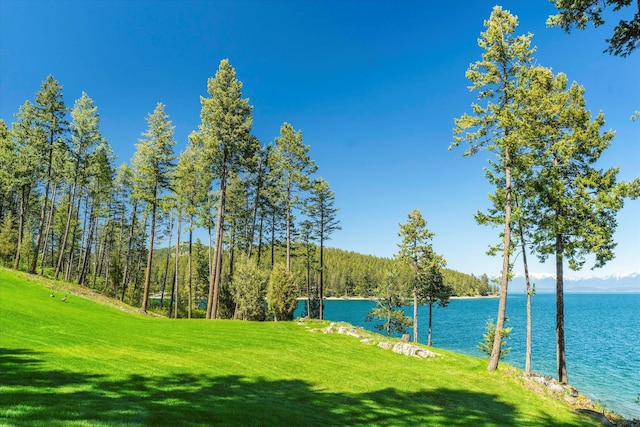 view of nearby features with a yard and a water view