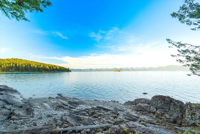 view of water view