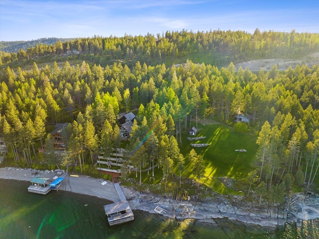 view of bird's eye view