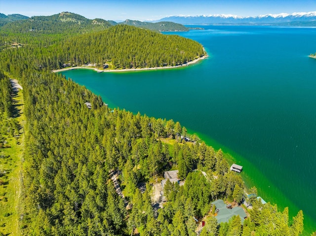 drone / aerial view with a water and mountain view