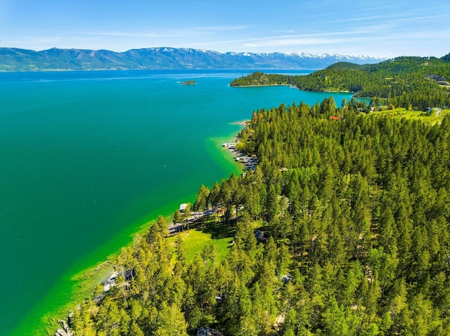 drone / aerial view with a water and mountain view